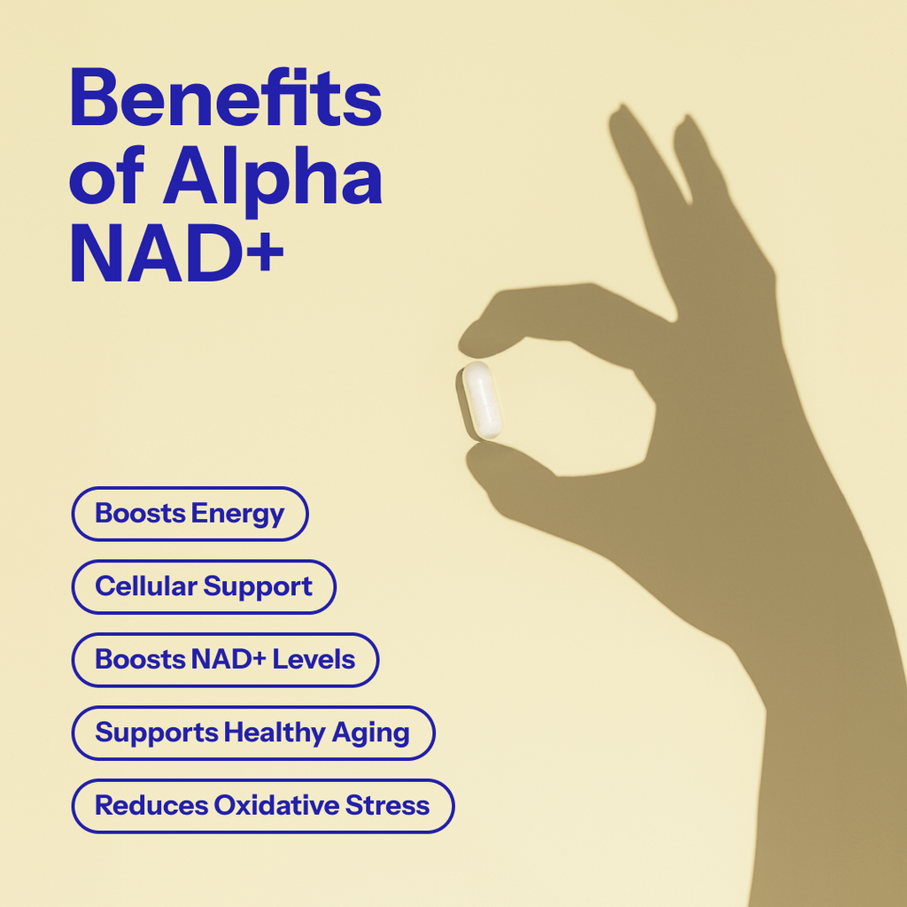 Alpha Nutrition NAD+ | NMN, Resveratrol & TMG | 60 Vegan Capsules