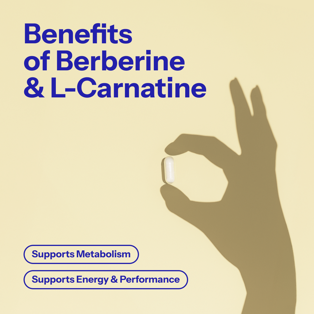 Alpha Nutrition Berberine & L-Carnitine | 90 Vegan Capsules