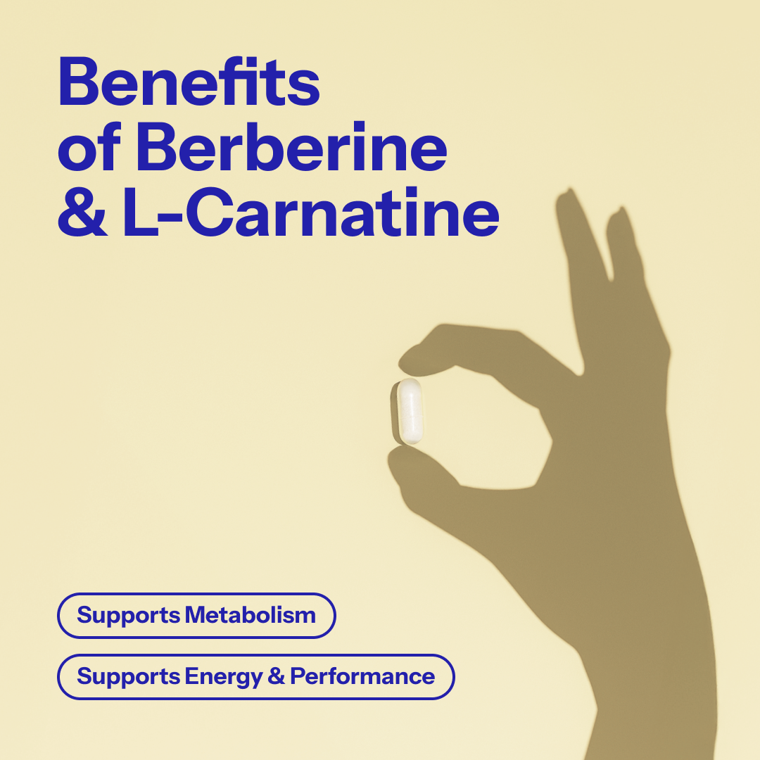Alpha Nutrition Berberine & L-Carnitine | 90 Vegan Capsules